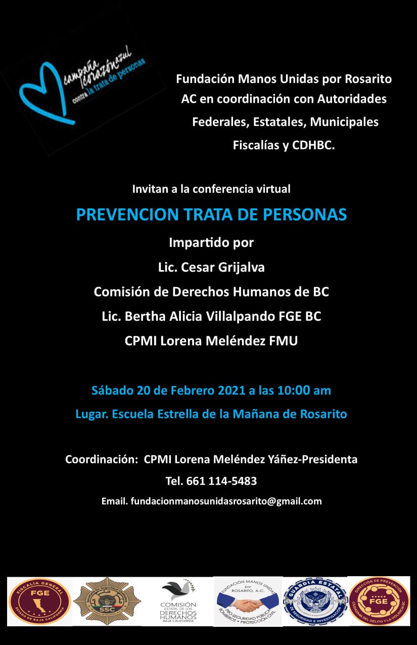 conferencia, prevencion, virtual